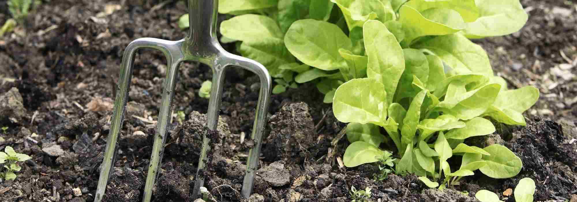 ¿Para qué sirve una horca o una horca excavadora?