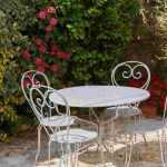 6 plantas para crear un seto como pantalla de privacidad en la terraza