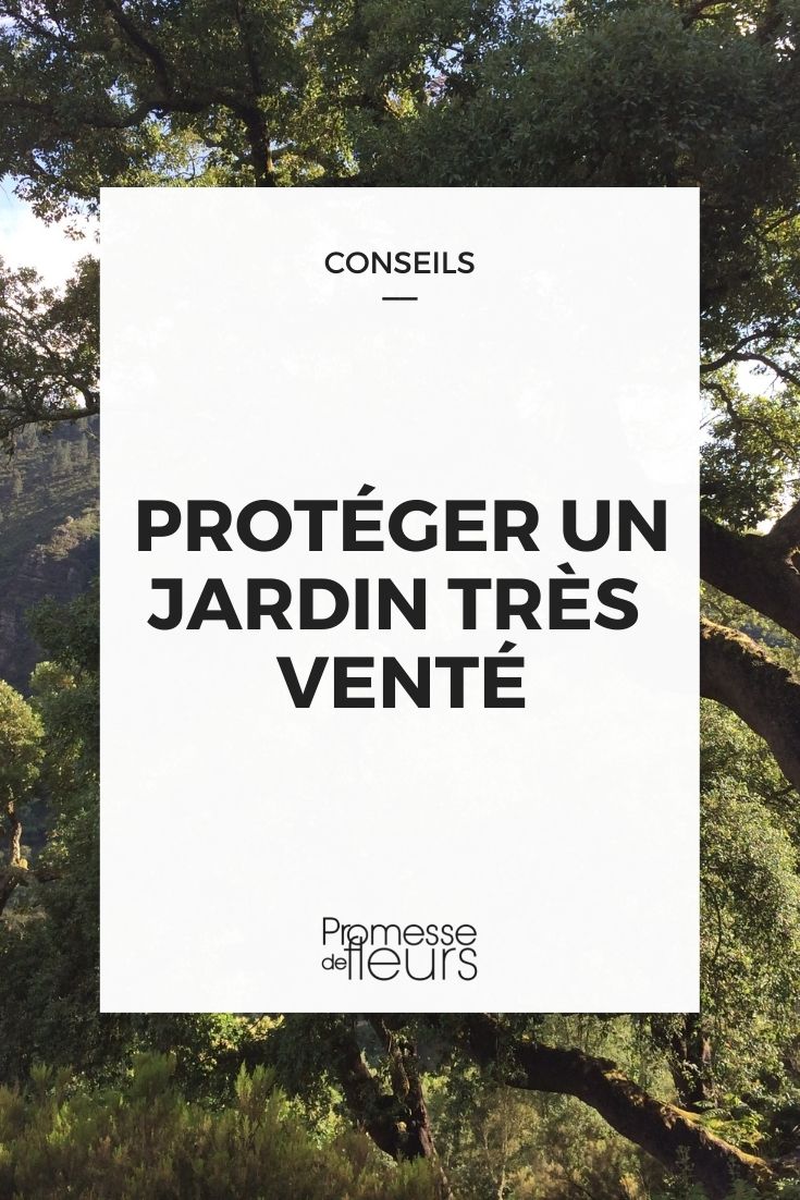 proteger un jardín muy ventoso