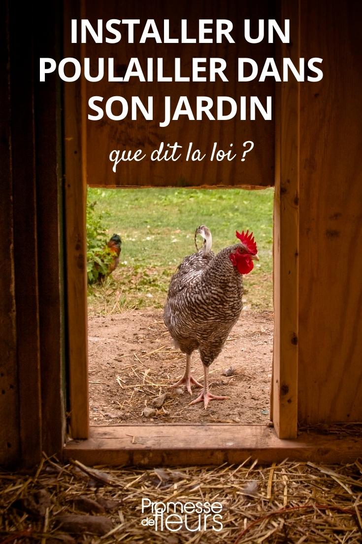 pollo de jardín ley normativa