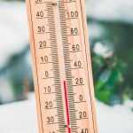 Heladas tardías, primavera fría: ¿qué hacer en el jardín?