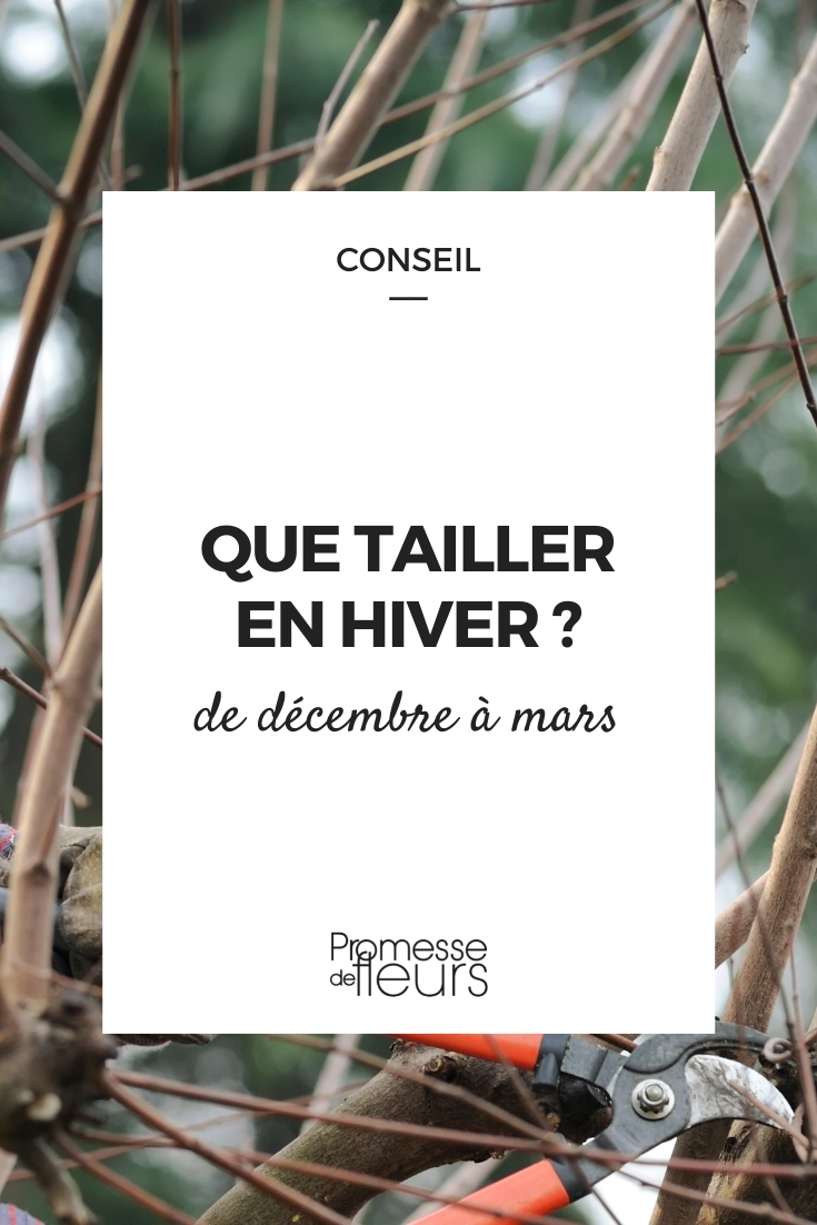 poda de invierno de plantas