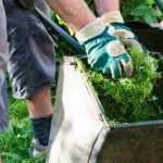 ¿Qué hacer con los recortes de césped?