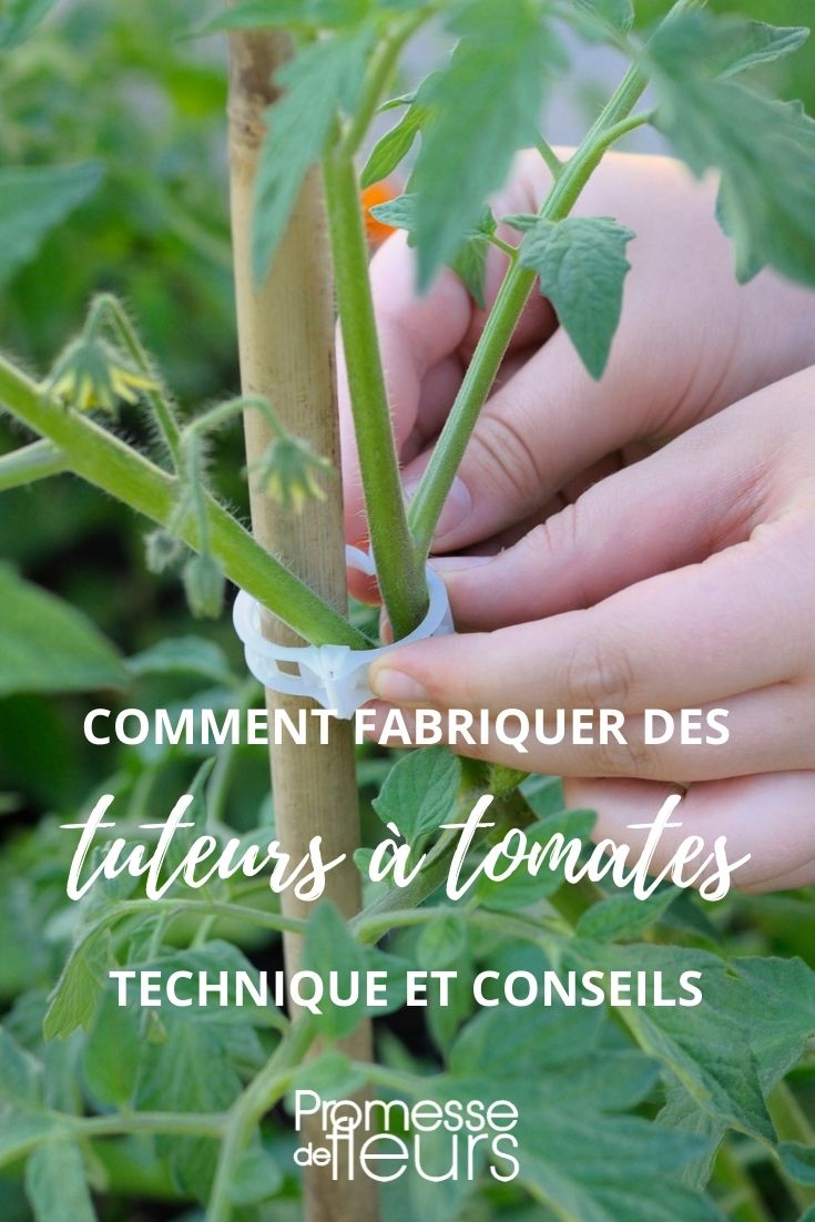 fabricar tutor para tomates