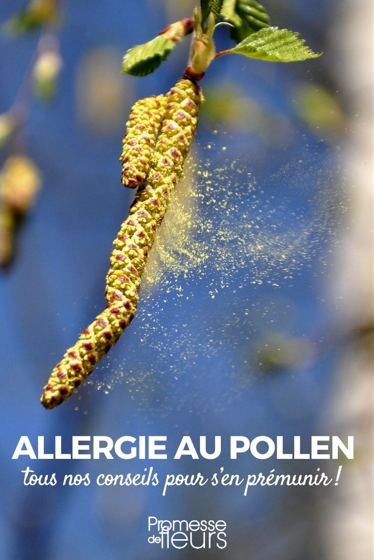 alergias polen plantas árboles