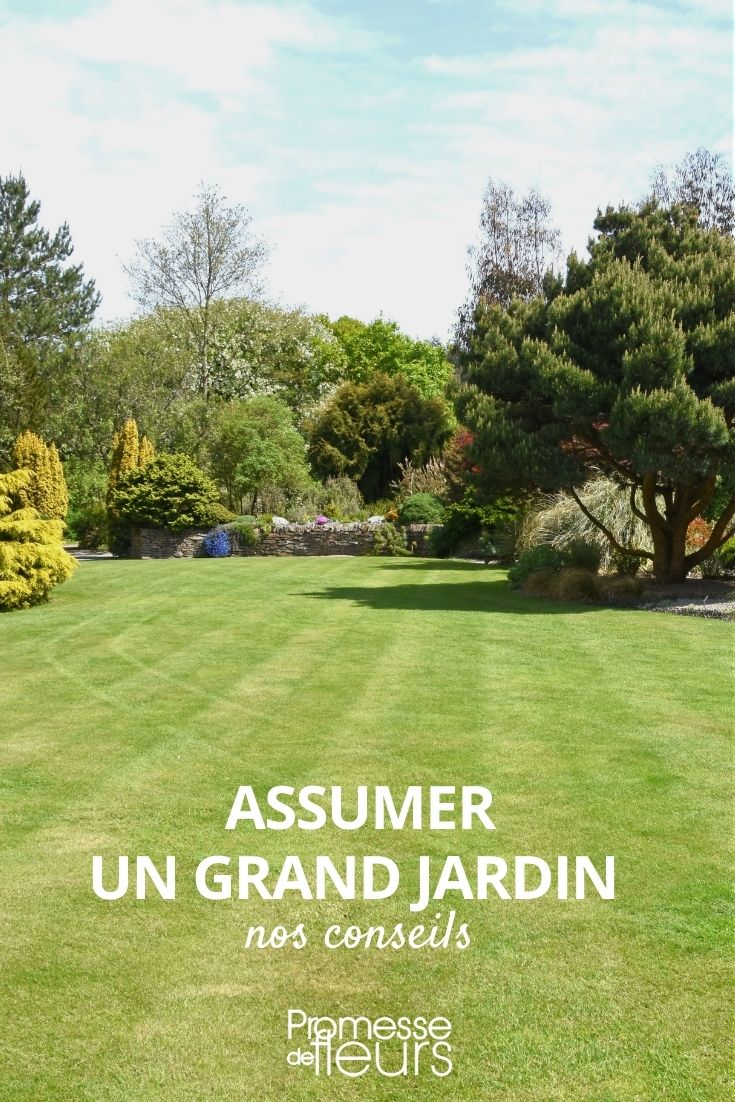# Gestion y diseño de jardines y parques de grandes superficies

## Cómo organizar un jardín extenso

Planificar y mantener un gran jardín o parque requiere un enfoque estratégico. Estos son los aspectos clave a considerar:

### 1. Diseño inicial
- Divide el espacio en zonas funcionales (ornamentales, de descanso, huerto)
- Crea caminos principales y secundarios para facilitar el acceso
- Planifica la ubicación de árboles grandes considerando su tamaño adulto

### 2. Selección de plantas
- Combina especies de bajo mantenimiento con ejemplares destacados
- Incluye árboles de sombra para crear microclimas
- Usa setos y arbustos para delimitar áreas

### 3. Sistemas de riego
- Instala un sistema de riego automatizado adaptado a cada zona
- Considera aspersores para céspedes y goteo para macizos
- Programa los riegos según las necesidades de cada planta

### 4. Mantenimiento eficiente
- Establece un calendario de podas y cuidados
- Automatiza tareas como el corte del césped
- Usa acolchados para reducir malas hierbas y mantener la humedad

### 5. Elementos decorativos
- Incorpora bancos, fuentes o esculturas como puntos focales
- Crea perspectivas visuales con senderos curvos
- Ilumina los caminos y elementos destacados

Con una buena planificación inicial y sistemas eficientes, podrás disfrutar de un gran jardín sin que el mantenimiento se convierta en una carga.