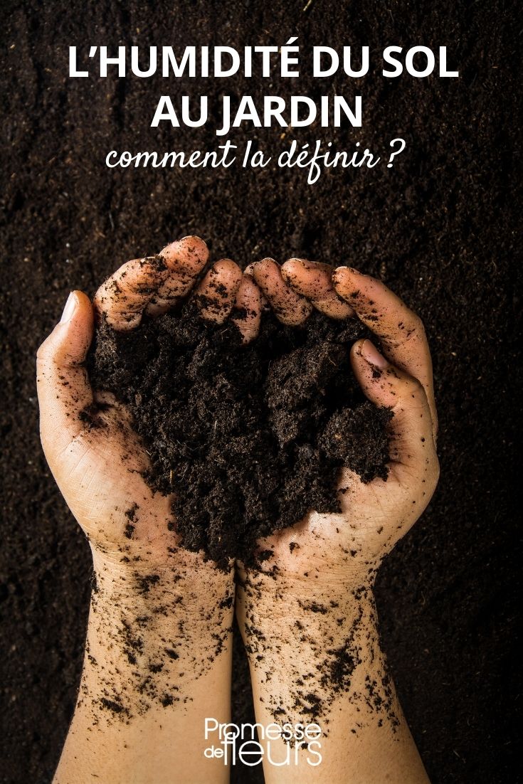 reconocer suelo seco, fresco, arcilloso