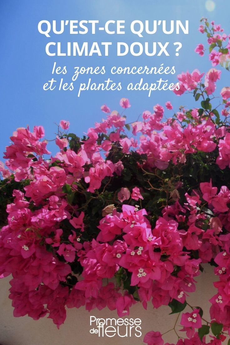 zonas y plantas de clima templado