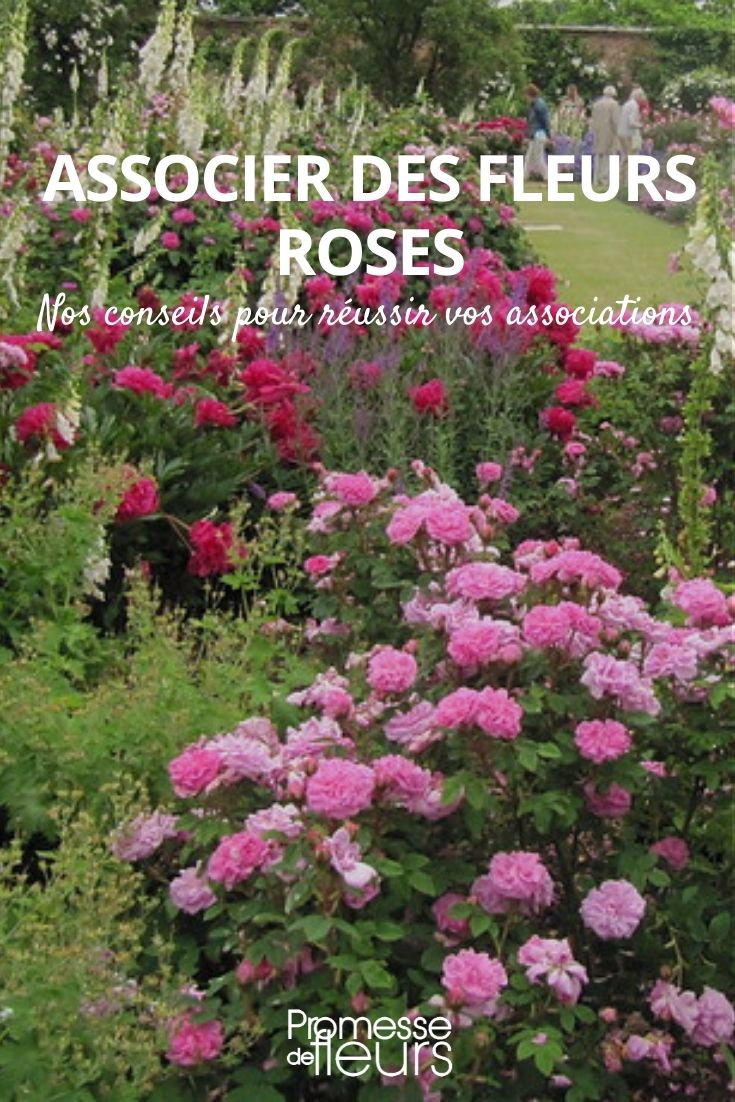 combinar flores rosadas