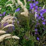 Melica: 6 ideas para combinarlas