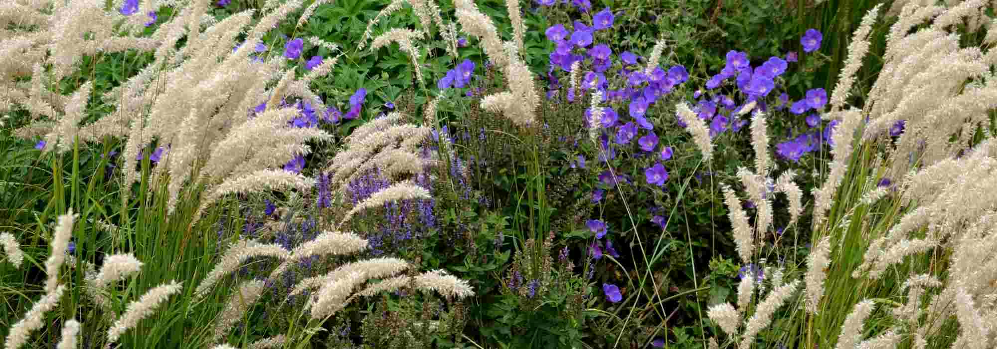 Melica: 6 ideas para combinarlas