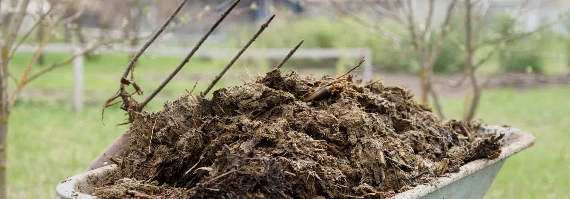 El estiércol en 10 preguntas / respuestas