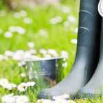 ¿Qué hacer en el jardín en marzo?