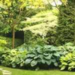 Lograr un macizo bonito: las malas ideas que parecen buenas