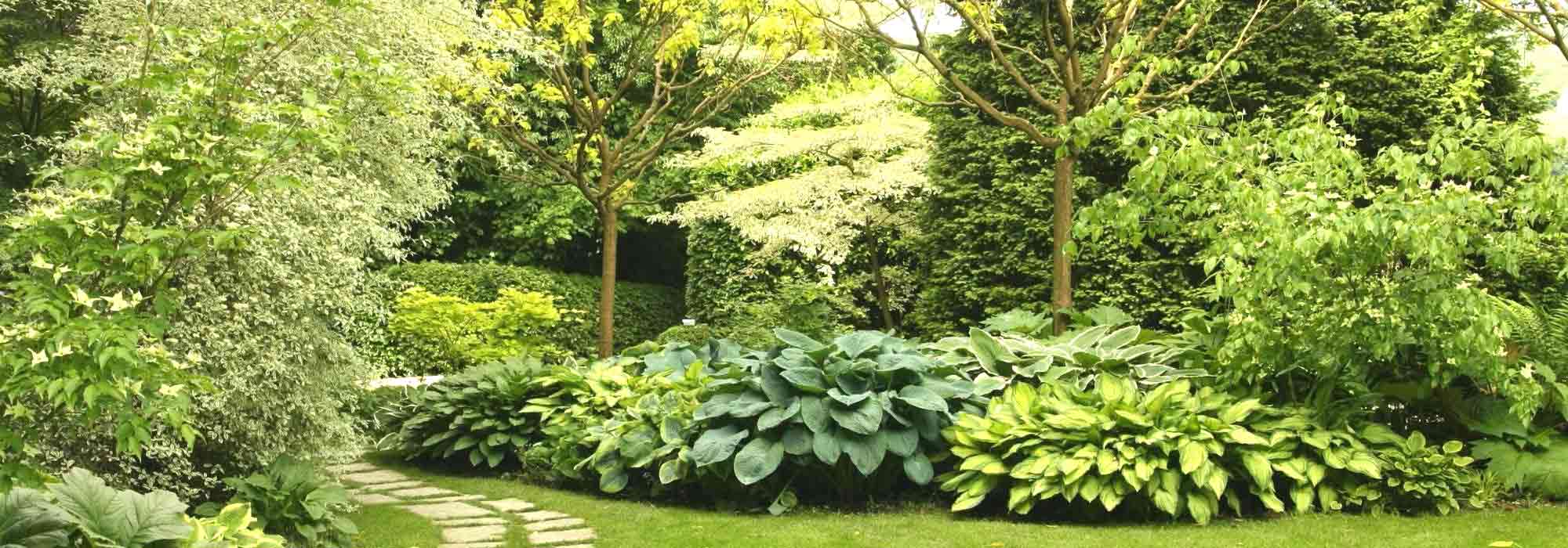 Lograr un macizo bonito: las malas ideas que parecen buenas