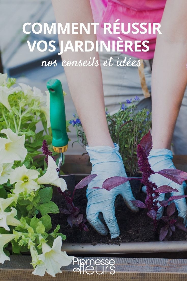 consejos e ideas para plantar en jardineras