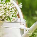 ¿Qué hacer en el jardín en mayo?