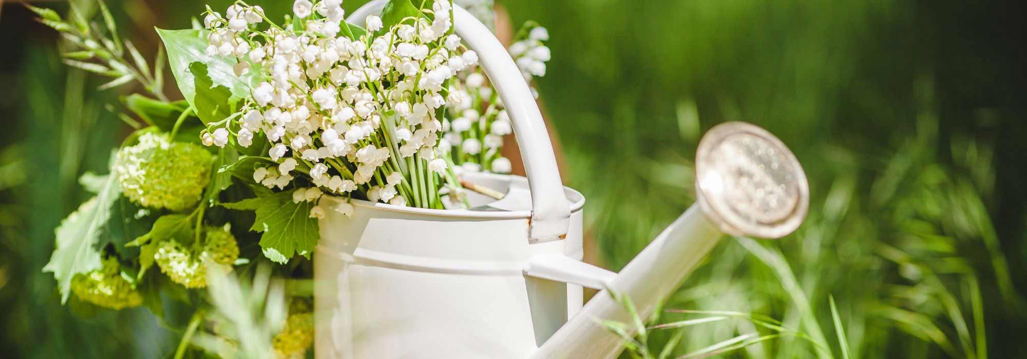 ¿Qué hacer en el jardín en mayo?
