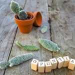 Esquejar un opuntia, el cactus raqueta