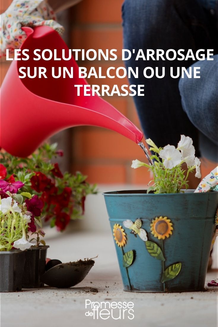 Soluciones para regar tus plantas en balcón o terraza