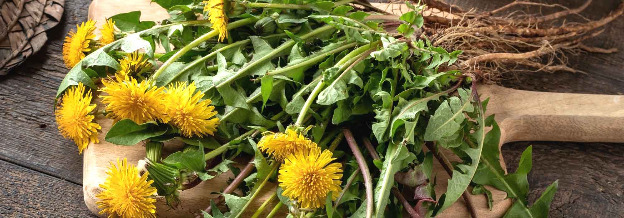 6 plantas para limpiar el hígado