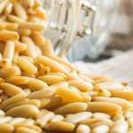 ¿Cómo recoger los piñones de pino?