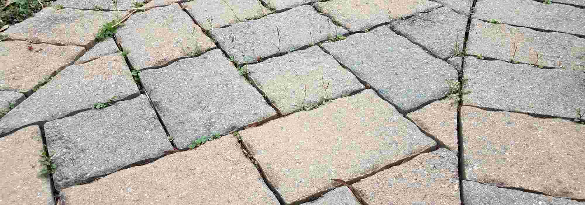 Un camino sin malas hierbas: ¿cómo hacerlo?