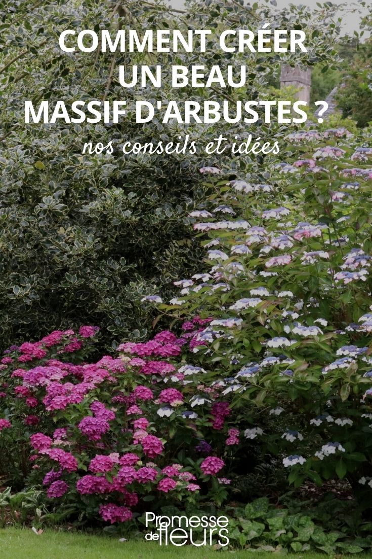 consejos e ideas para crear macizos de arbustos