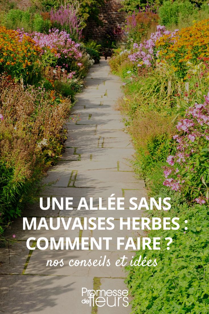 desherbar camino de jardín