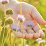 Crear un jardín sensorial