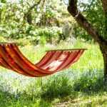 Vegetalizar para refrescar el aire ambiente