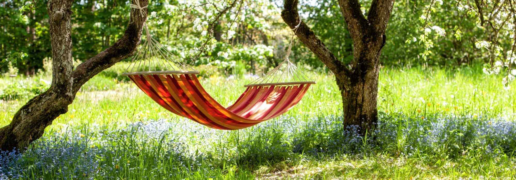 Vegetalizar para refrescar el aire ambiente