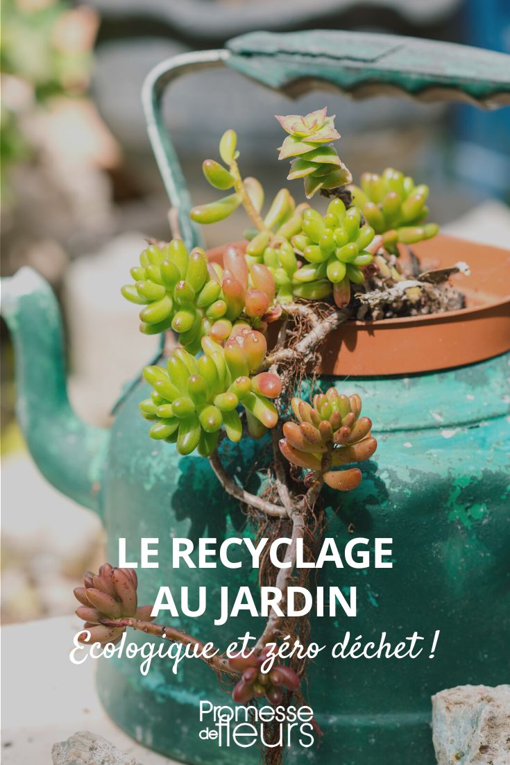 reciclaje creativo en el jardín: ecológico y sin residuos