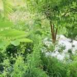 Permacultura: la técnica de las baissières