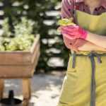 Calendario del huerto - mayo