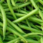 Cultivar judías enanas