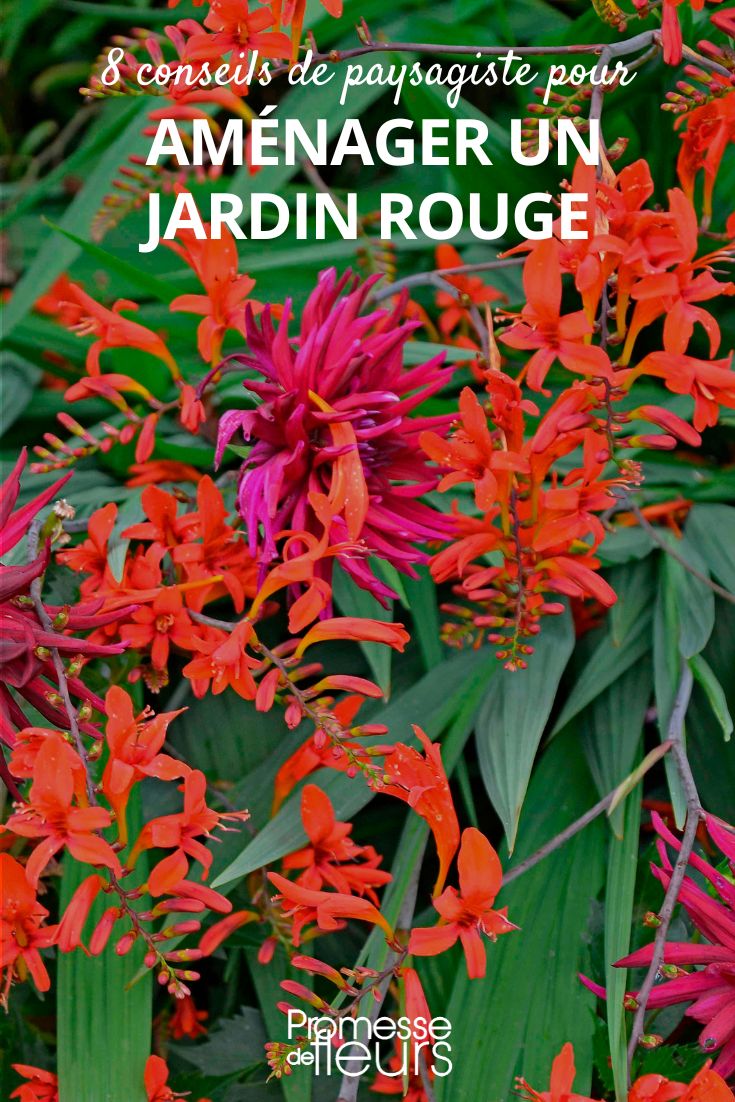 crear un jardín rojo