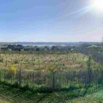 Crear un microbosque mediante el método Miyawaki