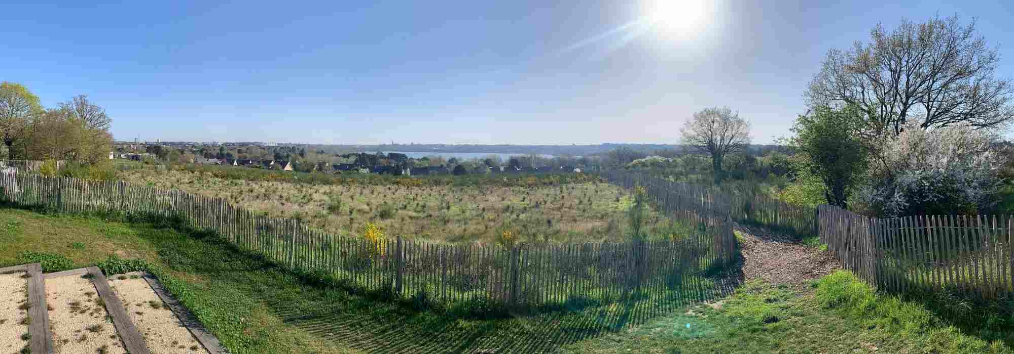 Crear un microbosque mediante el método Miyawaki