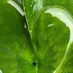 El agua: un recurso valioso y frágil