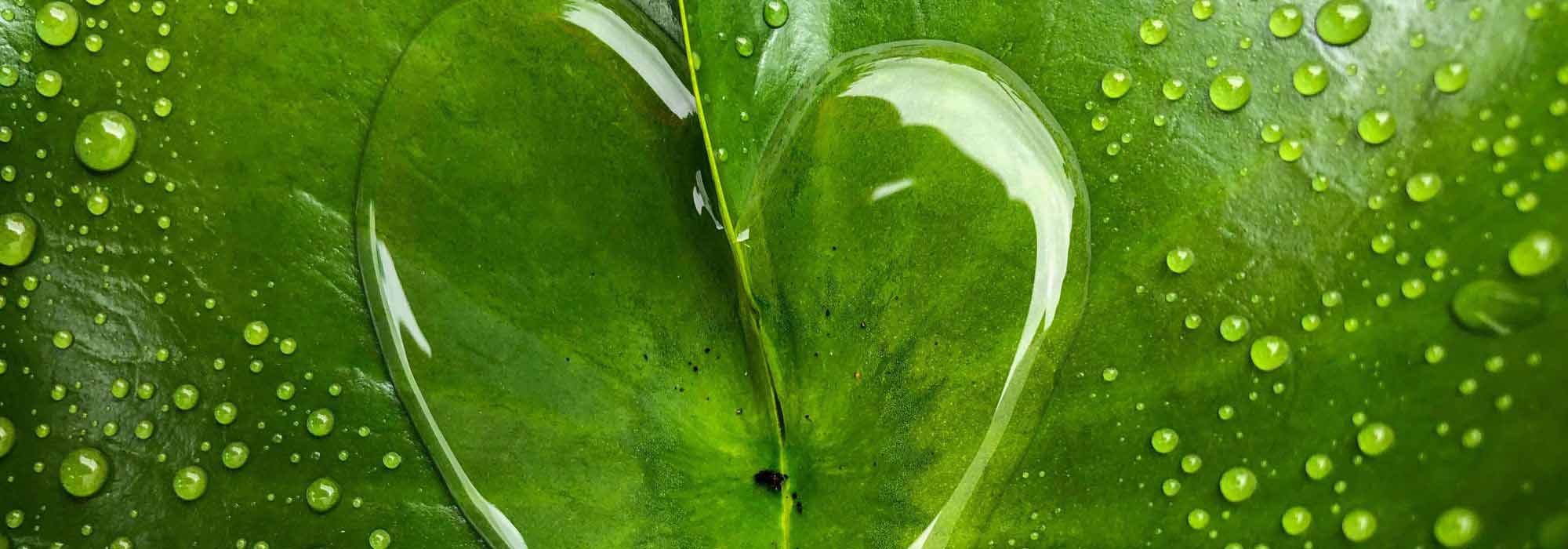 El agua: un recurso valioso y frágil