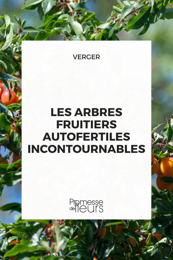 frutales autofértiles imprescindibles