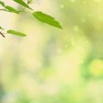 Diseñar un jardín secreto