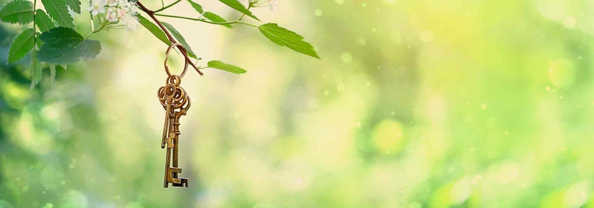 Diseñar un jardín secreto