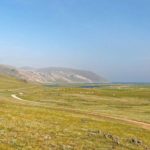 El césped estepario