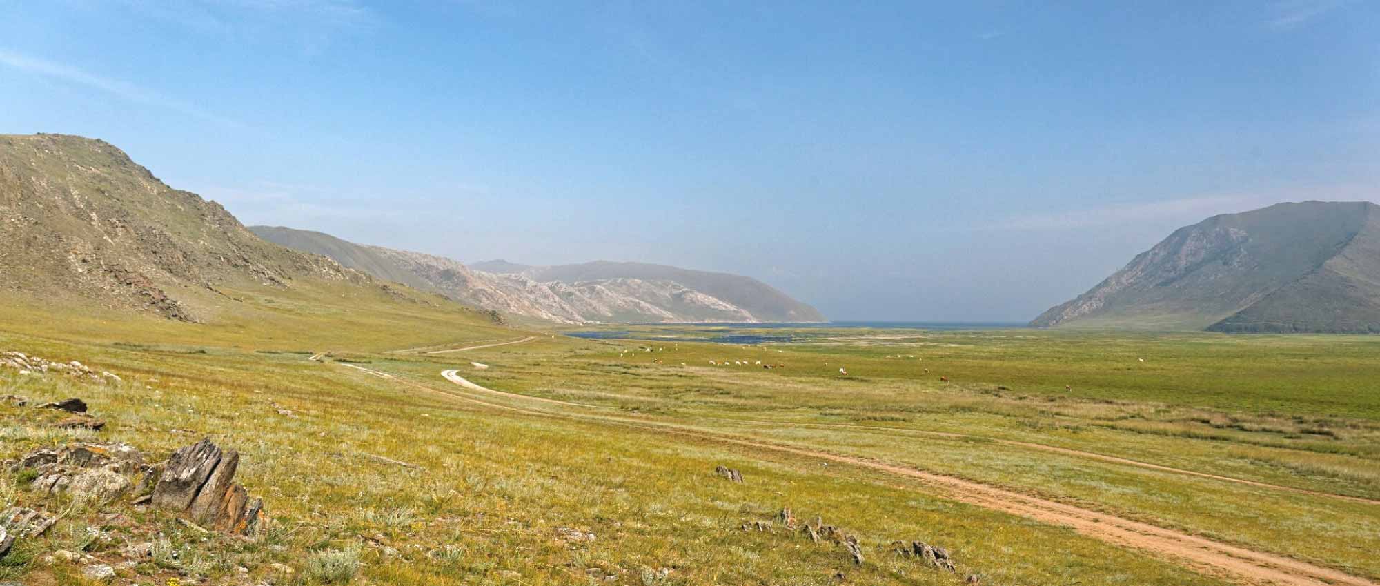 El césped estepario