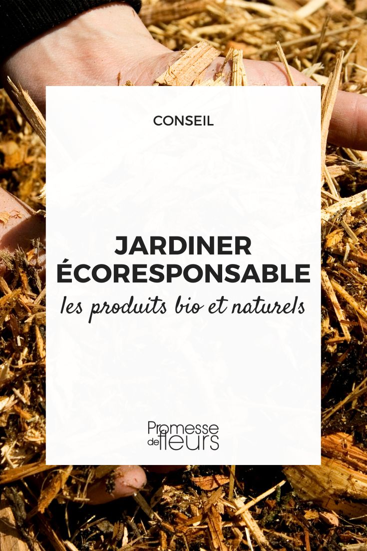 Cómo jardinar de forma ecológica y natural