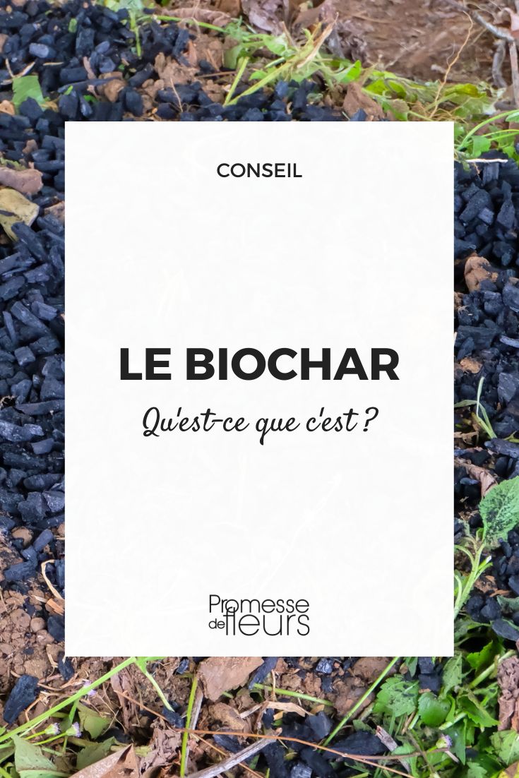 usar el biochar en el jardín
