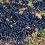 El biochar: ¿qué es?