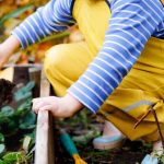 7 consejos para empezar un jardín con los niños